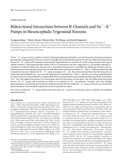 Bidirectional Interactions between H