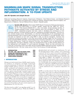 mammalian mapk signal transduction pathways activated by stress