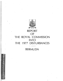 Pitt Report - decouto.bm