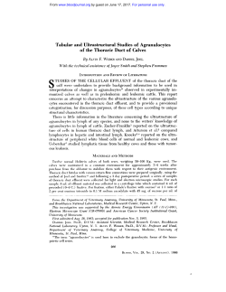 studies - Blood Journal