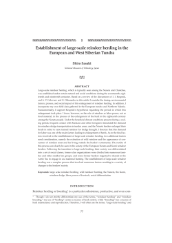 Establishment of large scale reindeer herding in the