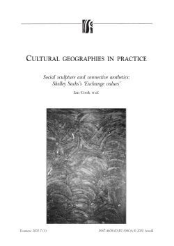 cultural geographies in practice