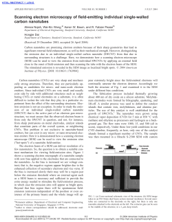 Scanning electron microscopy of field