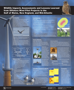 Introduction Avian Surveys Conclusion Avian/Bat Assessment