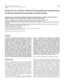 Meiotic chromosome pairing - UCSF Macromolecular Structure Group