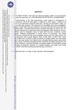 Tidal chart and tidal propagation pattern in the