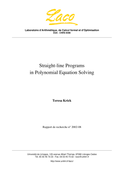 Straight-line Programs in Polynomial Equation Solving
