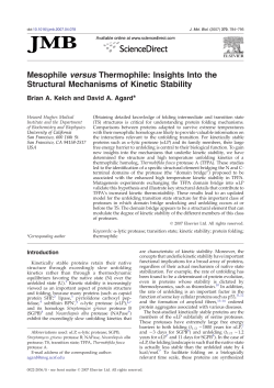 Mesophile versus Thermophile: Insights Into the Structural