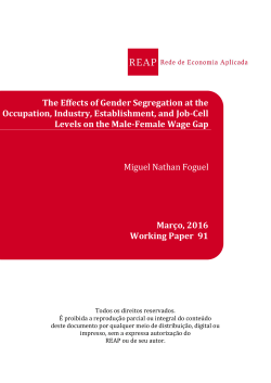 The Effects of Gender Segregation at the Occupation, Industry