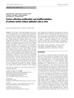Factors affecting proliferation and dedifferentiation of primary bovine