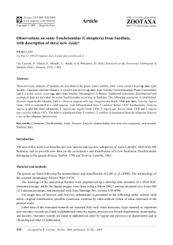 Full article - Magnolia press