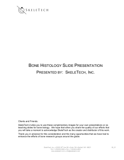 bone histology slide presentation