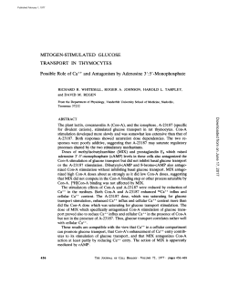 MITOGEN-STIMULATED GLUCOSE TRANSPORT IN