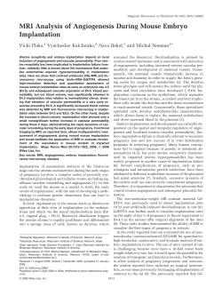 MRI analysis of angiogenesis during mouse embryo implantation