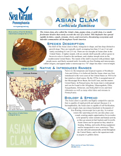 Asian Clam - Pennsylvania Sea Grant