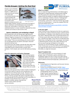 Florida Grouper: Getting the Real Deal