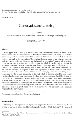 Stereotypies and suffering