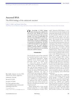 Ancestral RNA