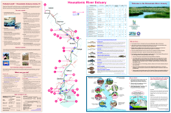 the Housatonic River Estuary - Housatonic Valley Association