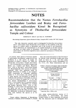 bacillus sulfooxidans Kinsel Be Recognized as Synonyms of