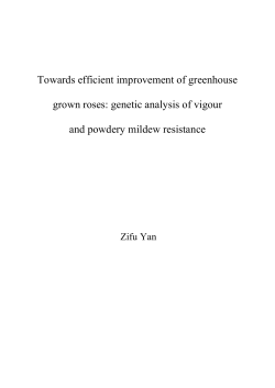 Towards efficient improvement of greenhouse grown roses: genetic
