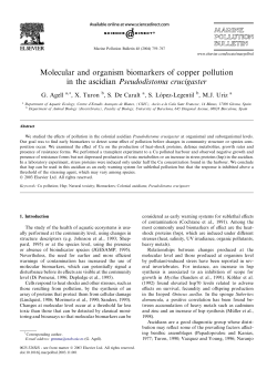 Molecular and organism biomarkers of copper pollution in the