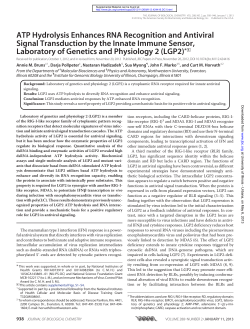 ATP Hydrolysis Enhances RNA Recognition and