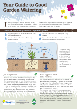 Your Guide to Good Garden Watering