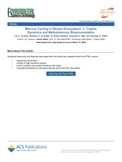 Mercury Cycling in Stream Ecosystems. 3. Trophic Dynamics and