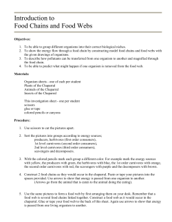 Introduction to Food Chains and Food Webs
