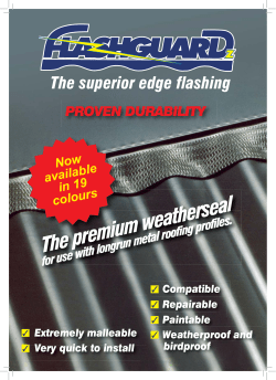 FlashguardZ 19 colours