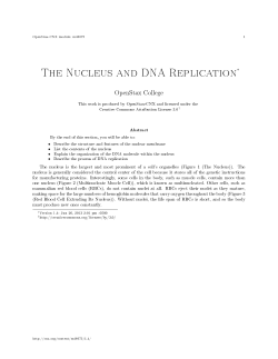 The Nucleus and DNA Replication