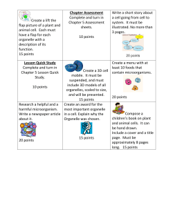Create a lift the flap picture of a plant and animal cell. Each must