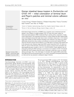 Human intestinal tissue tropism in Escherichia coli