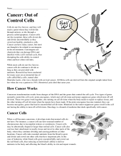 Cancer WS