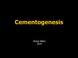Acellular fibrillar cementum