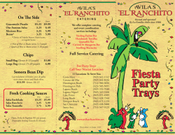 Fiesta Party Trays Party Trays Fiesta