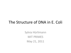 The Structure of DNA in E. Coli