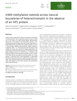 H3K9 methylation extends across natural boundaries of