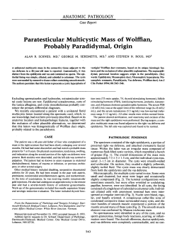 Paratesticular Multicystic Mass of Wolffian, Probably Paradidymal