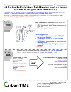 4.2 Grading the Explanations Tool: How does a cell in a