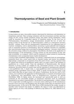 Thermodynamics of Seed and Plant Growth