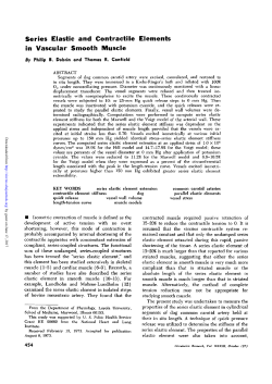 Series Elastic and Contractile Elements in Vascular Smooth Muscle
