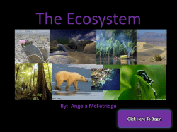 Ecosystem WebQuest