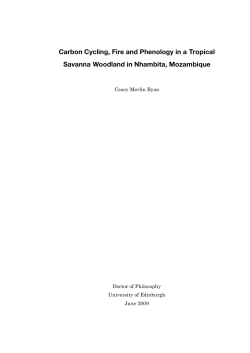 Carbon Cycling, Fire and Phenology in a Tropical Savanna