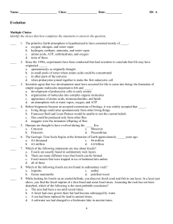 ExamView - Untitled.tst