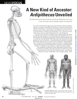 A New Kind of Ancestor: Ardipithecus Unveiled
