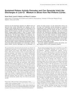 Sustained Plateau Activity Precedes and Can Generate Ictal