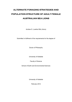 Alternate foraging strategies and population structure of adult female