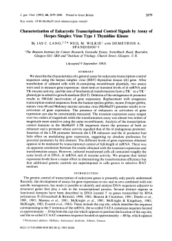 Characterization of Eukaryotic Transcriptional Control Signals by